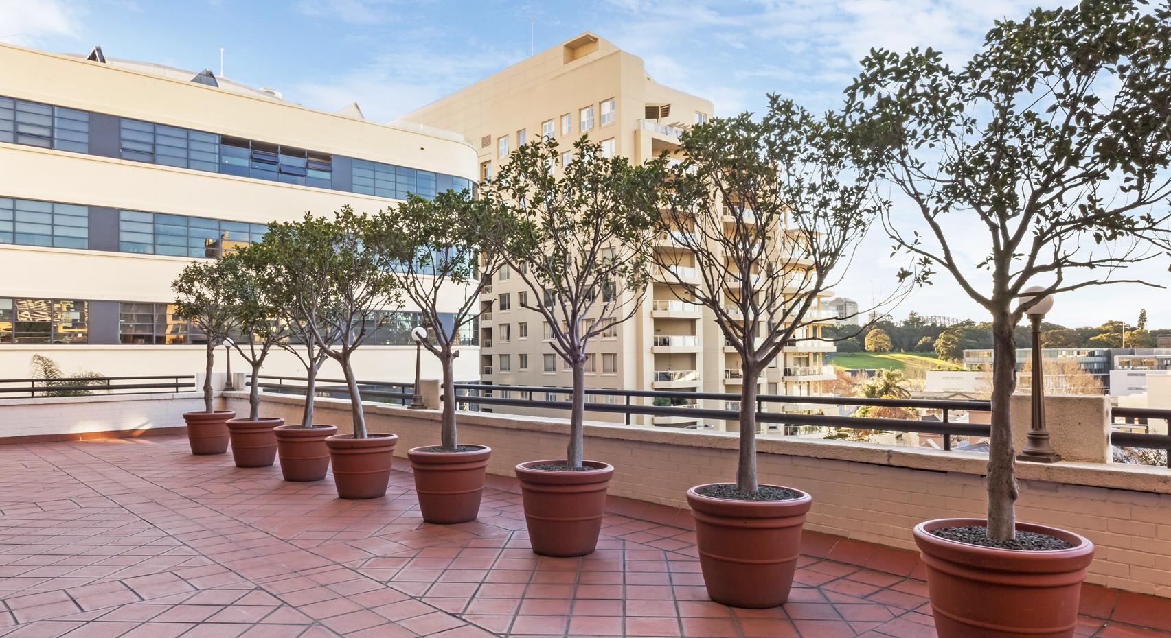 The Sydney Boulevard Hotel Εξωτερικό φωτογραφία